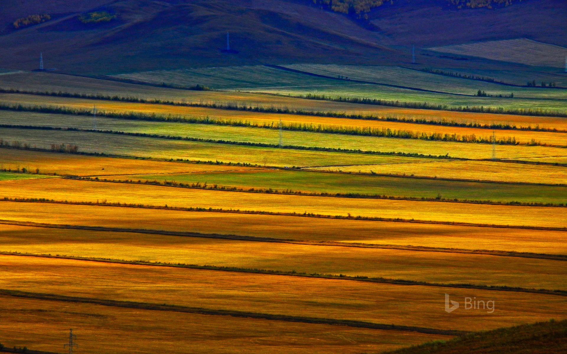 Www bing com image. Прерия Хулунбуир. Хулунбуирская степь КНР. Монголия пейзажи. Внутренняя Монголия.